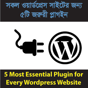5 Essential Plugin for WordPress Site