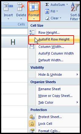 AutoFit Row height in Excel 2007