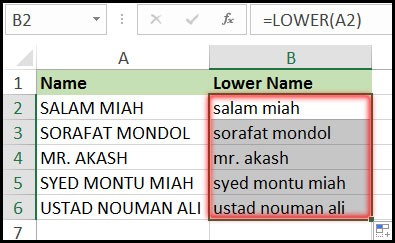 Result of Using Lower Function with Example in Excel