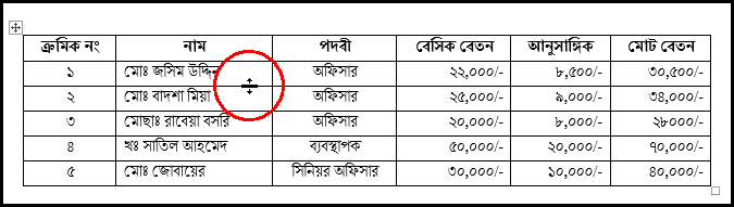 Resize Rows Height in MS Word 2016 Bangla Tutorial