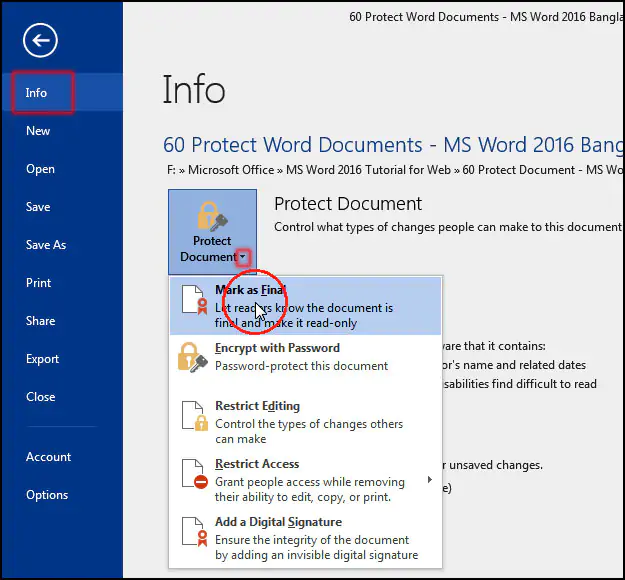 Read Only Document Mark As Final in MS Word 2016 Bangla Tutorial