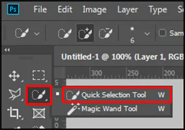 Quick Selection Tool in Adobe Photoshop CC