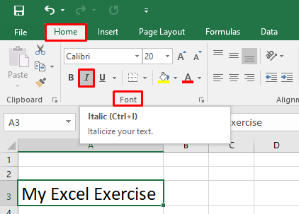 How to Italic Text and Number in Excel 2016