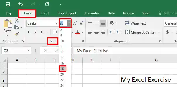 টেক্সট ও নাম্বার ফরমেট করা - Change Font Size in Excel 2016