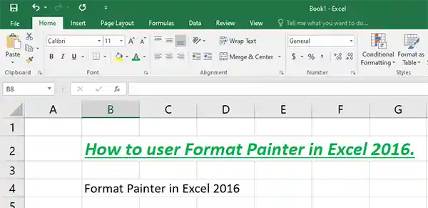 How to use Format Painter in Excel Any Version